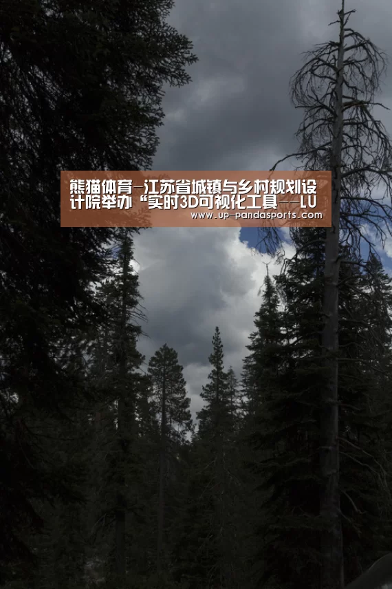 熊猫体育平台