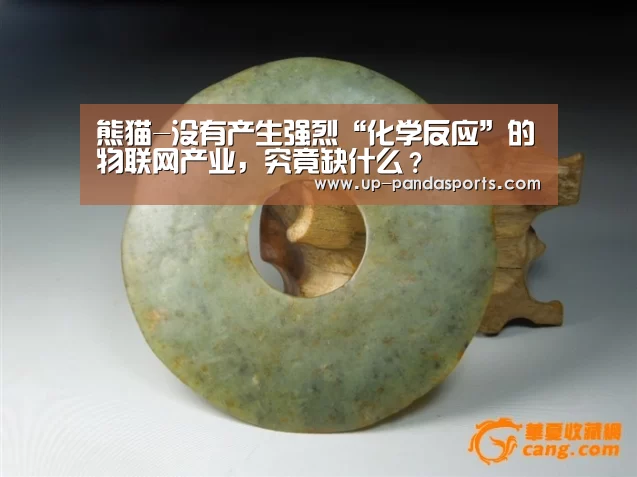 熊猫-没有产生强烈“化学反应”的物联网产业，究竟缺什么？