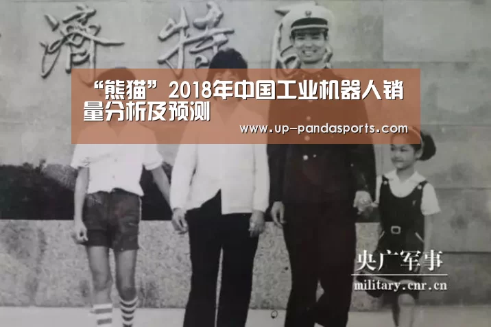 “熊猫”2018年中国工业机器人销量分析及预测
