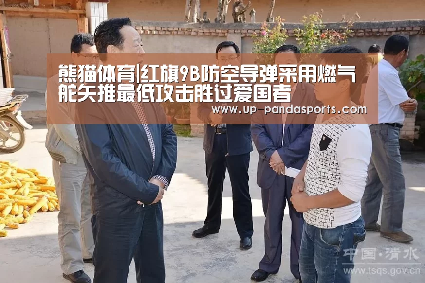 熊猫体育|红旗9B防空导弹采用燃气舵矢推最低攻击胜过爱国者(图3) 熊猫体育平台