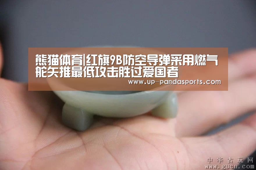 熊猫体育|红旗9B防空导弹采用燃气舵矢推最低攻击胜过爱国者(图4) 熊猫体育