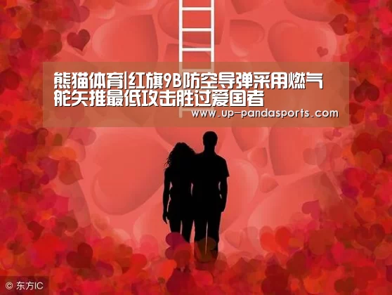 熊猫体育|红旗9B防空导弹采用燃气舵矢推最低攻击胜过爱国者(图2) 熊猫体育