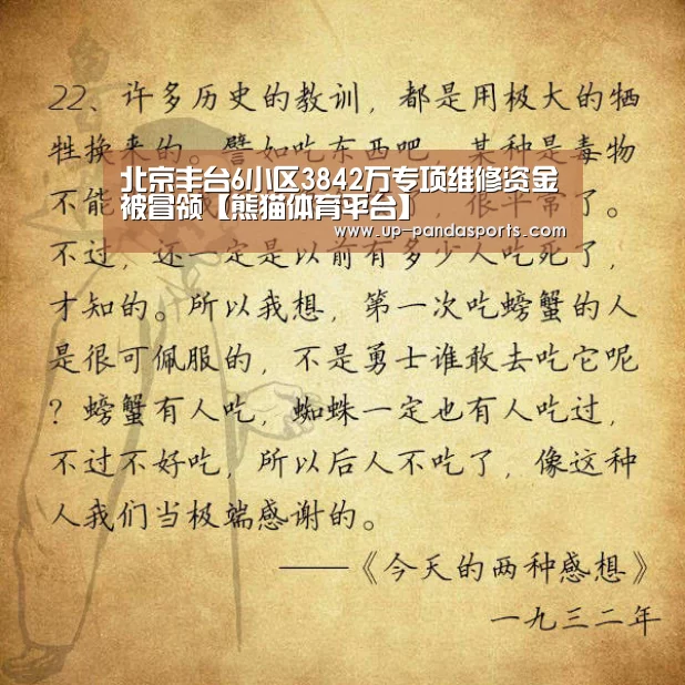 熊猫体育
