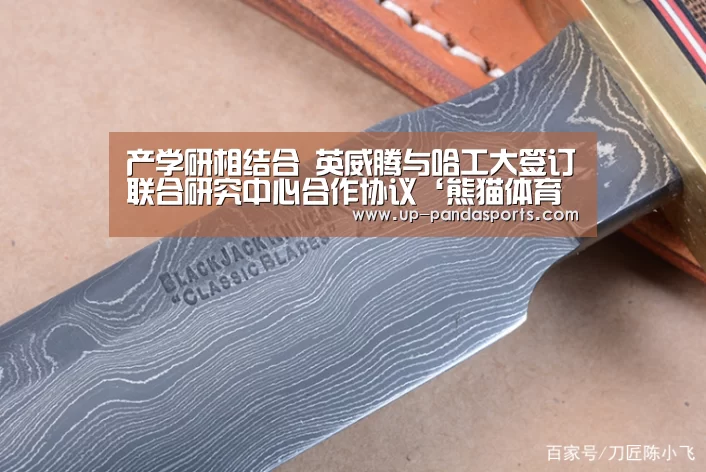 熊猫体育