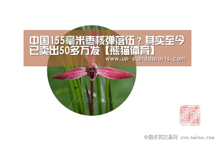 熊猫体育官网
