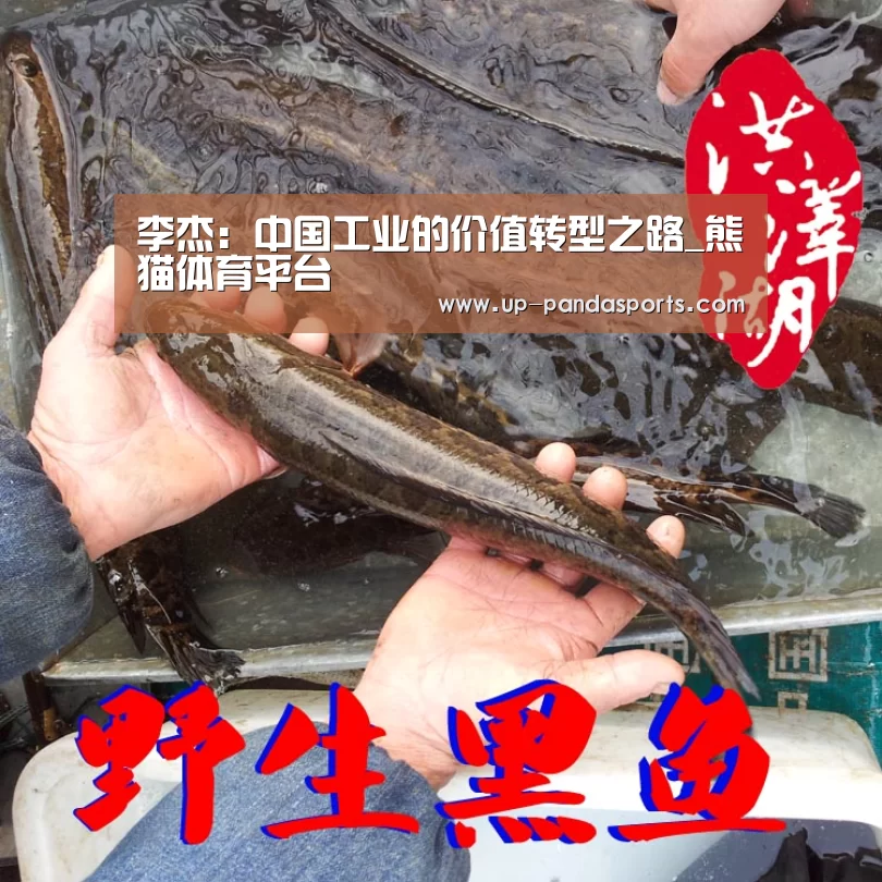 熊猫体育平台