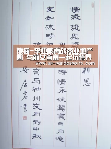 熊猫-李亚鹏再战商业地产圈 与前女首富一起玩跨界