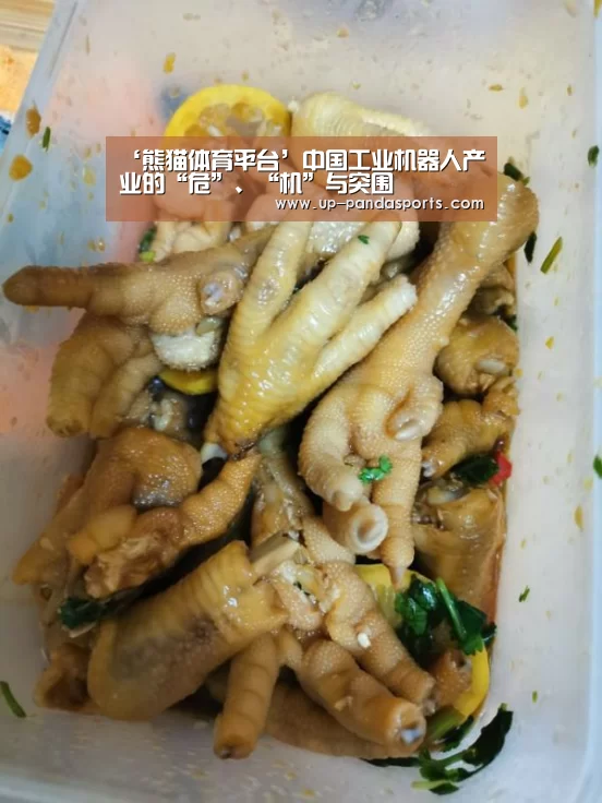 ‘熊猫体育平台’中国工业机器人产业的“危”、“机”与突围(图3) 熊猫体育