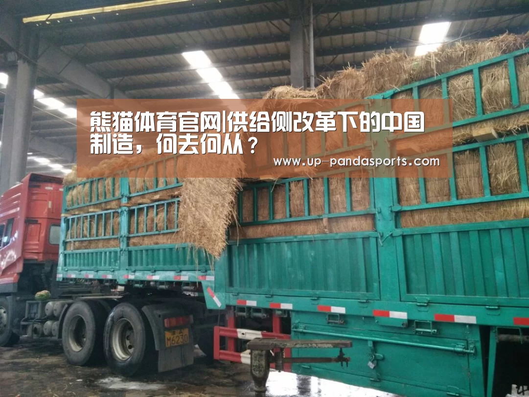 熊猫体育平台