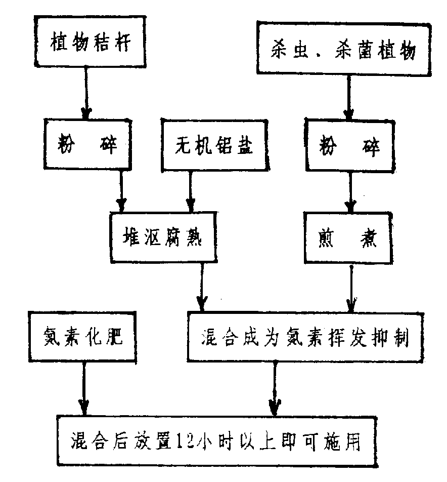 熊猫