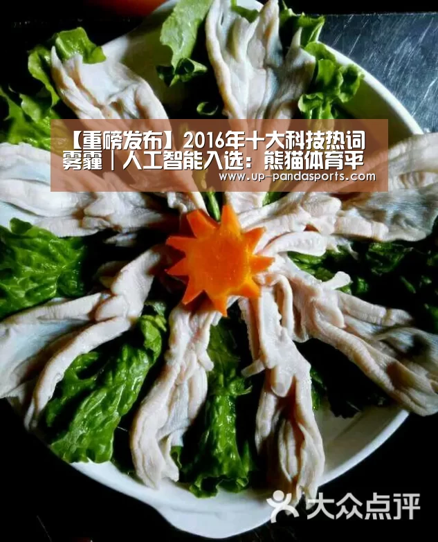 【重磅发布】2016年十大科技热词 雾霾|人工智能入选:熊猫体育平台(图1) 熊猫体育官网