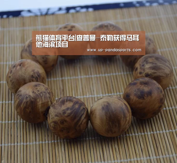 熊猫体育平台