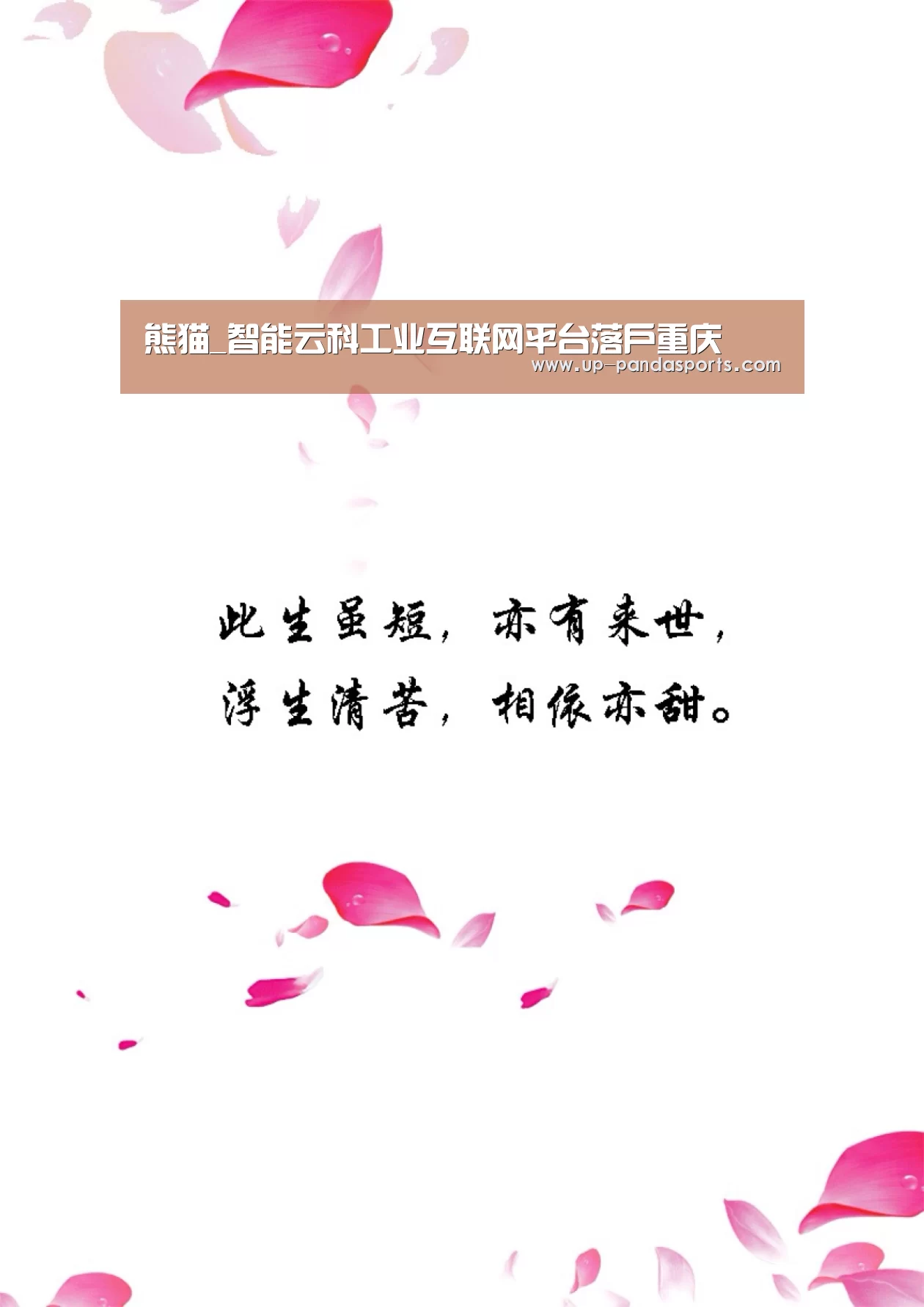 熊猫体育官网