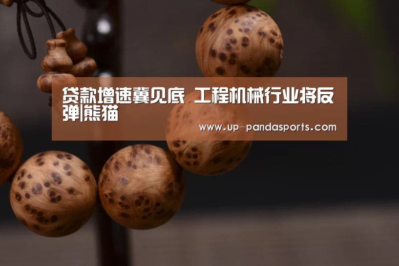 熊猫体育平台